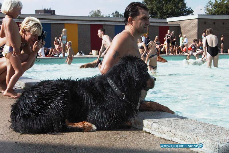 99082910.jpg - DE STEM VAN DORDT:Papendrecht:29-08-1999: zwembad papendrecht honden bezitters mogen op de laaste dag van het seisoen met baas in zwembad zwemmenDeze digitale foto blijft eigendom van FOTOPERSBURO BUSINK. Wij hanteren de voorwaarden van het N.V.F. en N.V.J. Gebruik van deze foto impliceert dat u bekend bent  en akkoord gaat met deze voorwaarden bij publicatie.EB/ETIENNE BUSINK