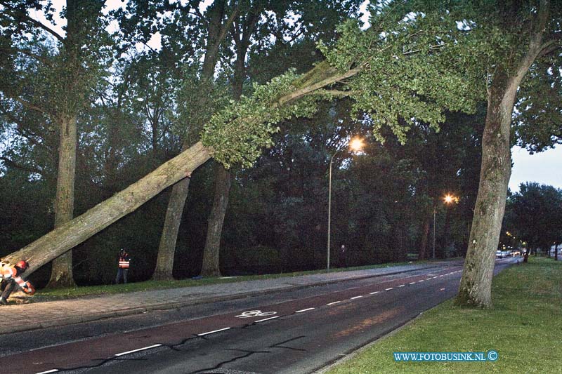 14051103.jpg - FOTOOPDRACHT:Dordrecht: 11-05-2014:De storm heeft dit weekend veel bomen het leven gekost, zo ook nog zondag avond aan de Mauritsweg te Dordrecht, waar de weg enkelen uren werd afgesloten en auto werden weg gehaald omdat er een boom van 25 meter was ingescheurd en dreigde om te vallen. De brandweer en de bomenploeg haalde de boom neer en zaagde hem in stukken. Deze digitale foto blijft eigendom van FOTOPERSBURO BUSINK. Wij hanteren de voorwaarden van het N.V.F. en N.V.J. Gebruik van deze foto impliceert dat u bekend bent  en akkoord gaat met deze voorwaarden bij publicatie.EB/ETIENNE BUSINK