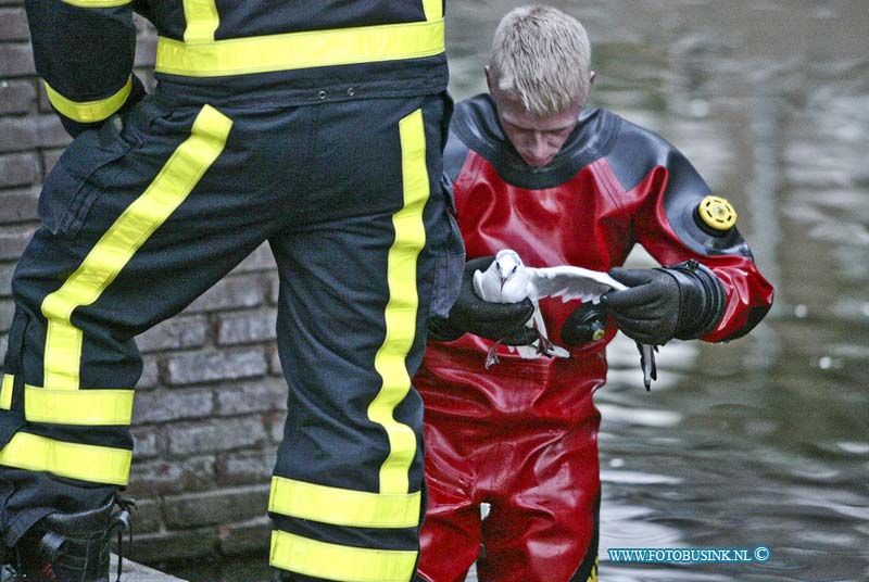 15020802.jpg - FOTOOPDRACHT:Dordrecht:08-02-2015:Een  brandweer duiker heeft aan het begin van zondagavond een meerkoetje gered in de vijver aan het Selma lagerlof-erf die verstrik zat in een vis tuigje met een dobber, dat ook vast kwam te zitten in een tak die over de vijver groeiden. De dieren ambulance naam de meerkoet mee, zo op het eerste gezicht maakte de meerkoek het goed maar moest het vistuigje nog wel uit de vleugels geknoopt worden voor hij weer terug de natuur in kan. Helaas komt het vaker voor dat kinderen of volwassenen die vissen tuigjes in het water achterlaten waar dan vogels soms met de dood in verstrikt raken.  Deze digitale foto blijft eigendom van FOTOPERSBURO BUSINK. Wij hanteren de voorwaarden van het N.V.F. en N.V.J. Gebruik van deze foto impliceert dat u bekend bent  en akkoord gaat met deze voorwaarden bij publicatie.EB/ETIENNE BUSINK
