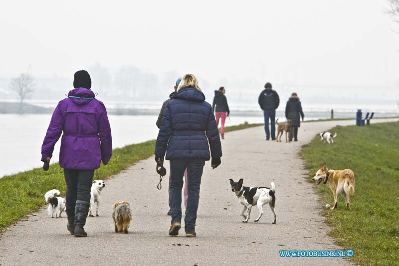 15021212.jpg - FOTOOPDRACHT:Papendrecht:12-02-2015:Honden uitlaten en spelen op speciale plekken door het opstellen van regels voor hondenbezitters toezichthouders controleren dagelijks of hondenbezitters zich aan deze regels houden. Zoals op de foto langs de rivier.Deze digitale foto blijft eigendom van FOTOPERSBURO BUSINK. Wij hanteren de voorwaarden van het N.V.F. en N.V.J. Gebruik van deze foto impliceert dat u bekend bent  en akkoord gaat met deze voorwaarden bij publicatie.EB/ETIENNE BUSINK