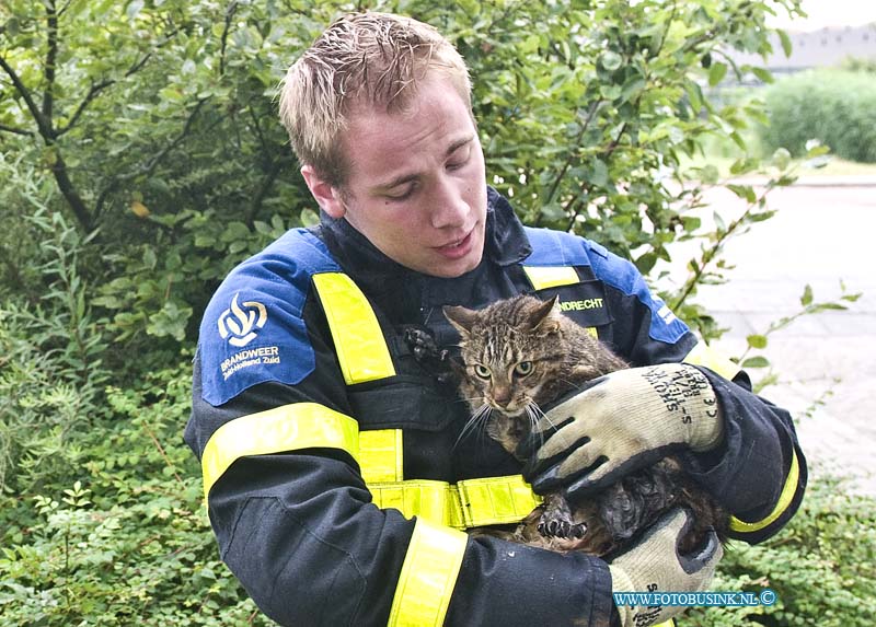 14071304.jpg - FOTOOPDRACHT:Papendrecht:13-07-2014: Aan het Bosweg met de Westkil was een kat in de riool put gevallen, voorbijgangers hoorde kat miauwen en zijn op zoek gegaan in de bosjes trof met de kat in de rioolput aan door dat het putdeksel ontbrak. de brandweer heeft de kat uit zijn benarde positie gehaald. de eigenaar van de kat kwam toevallig op het rumoer af en ontdekte dat het zijn kat was die al 2 dagen vermist was. De kat was in goede gezondheid en werd herenigd met zijn baasje.  Deze digitale foto blijft eigendom van FOTOPERSBURO BUSINK. Wij hanteren de voorwaarden van het N.V.F. en N.V.J. Gebruik van deze foto impliceert dat u bekend bent  en akkoord gaat met deze voorwaarden bij publicatie.EB/ETIENNE BUSINK