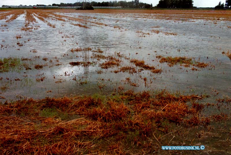 98091403.jpg - WLTO/WESTWEEK :WESTMAAS:WATEROVERLAST:14-09-1998: DE BOEREN IN DE HOEKSEWAARD KAMPEN MET EEN WATERPROBLEEM OP HUN AKKERS DOOR HET NOODWEER VAN HET AFGELOPEN WEEKEND OP DE PROVINALEWEG NAAR WESTMAAS WAREN DE PENSELEN BLANK KOMEN TE STAAN.Deze digitale foto blijft eigendom van FOTOPERSBURO BUSINK. Wij hanteren de voorwaarden van het N.V.F. en N.V.J. Gebruik van deze foto impliceert dat u bekend bent  en akkoord gaat met deze voorwaarden bij publicatie.EB/ETIENNE BUSINK