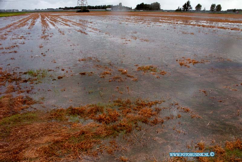 98091404.jpg - WLTO/WESTWEEK :WESTMAAS:WATEROVERLAST:14-09-1998: DE BOEREN IN DE HOEKSEWAARD KAMPEN MET EEN WATERPROBLEEM OP HUN AKKERS DOOR HET NOODWEER VAN HET AFGELOPEN WEEKEND OP DE PROVINALEWEG NAAR WESTMAAS WAREN DE PENSELEN BLANK KOMEN TE STAAN.Deze digitale foto blijft eigendom van FOTOPERSBURO BUSINK. Wij hanteren de voorwaarden van het N.V.F. en N.V.J. Gebruik van deze foto impliceert dat u bekend bent  en akkoord gaat met deze voorwaarden bij publicatie.EB/ETIENNE BUSINK