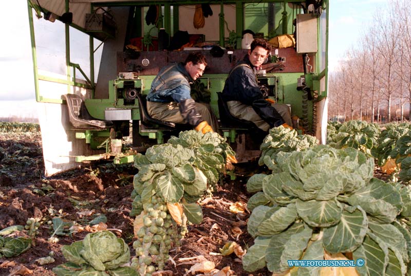 99010908.jpg - WLTO/WESTWEEK :S-GRAVENZANDE:09-01-1999:VAN DER DRIFT AAN HET SPUIRTKOOL OOGSTEN GROENEWEG 6.WW/2/1/FOTOITERU/EB02Deze digitale foto blijft eigendom van FOTOPERSBURO BUSINK. Wij hanteren de voorwaarden van het N.V.F. en N.V.J. Gebruik van deze foto impliceert dat u bekend bent  en akkoord gaat met deze voorwaarden bij publicatie.EB/ETIENNE BUSINK