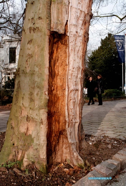 99012901.jpg - DE DORDTENAAR :DORDRECHT:29-01-1999:HET KAPEN VAN DE ZIEKEBOMEN OP DE STATIONSWEG DE LAAN MET DE GROTSTE BOMEN VAN DORDT.Deze digitale foto blijft eigendom van FOTOPERSBURO BUSINK. Wij hanteren de voorwaarden van het N.V.F. en N.V.J. Gebruik van deze foto impliceert dat u bekend bent  en akkoord gaat met deze voorwaarden bij publicatie.EB/ETIENNE BUSINK