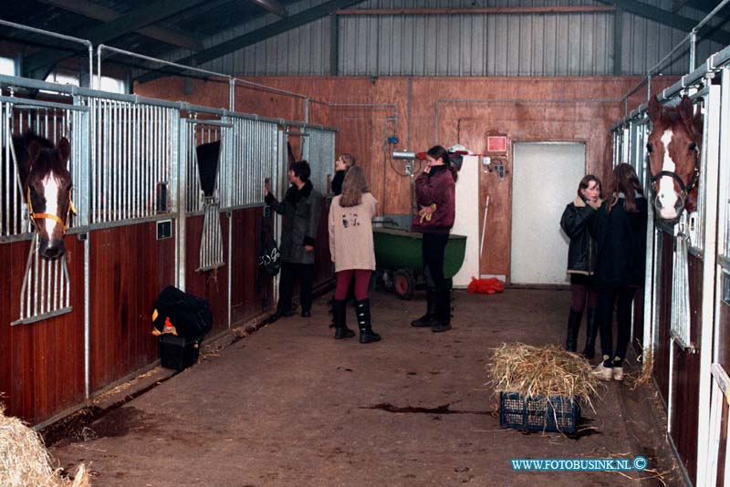 99021705.jpg - LOCOM :ALBLASSERDAM:17-02-1999:DE PAARDEN IN DE LOODS NAAST DE BRAND WORDEN GERUST GESTELD DOOR DE VERZORGERS ER STOND VEEL ROOK IN DE PAARDEN STALLEN.EEN KORTE MAAR FELE UITSLAANDE BRAND VERWOESTE WOENSDAG MIDDAG OM 12,30 UUR EEN LOODS VAN  DE FIRMA KORTLAND AUTO BERDIJF EN SCHEEPS WERF AAN DE POLDERSTRAAT TE ALBLASSERDAM. ER WAREN 2 SLACHTOFFERS DIEONDER BEGELEIDING ZIJN AFGEVOERT NAAR HET ZUIDERZIEKENHUIS MET BRANDWONDEN.Deze digitale foto blijft eigendom van FOTOPERSBURO BUSINK. Wij hanteren de voorwaarden van het N.V.F. en N.V.J. Gebruik van deze foto impliceert dat u bekend bent  en akkoord gaat met deze voorwaarden bij publicatie.EB/ETIENNE BUSINK