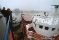 99030904