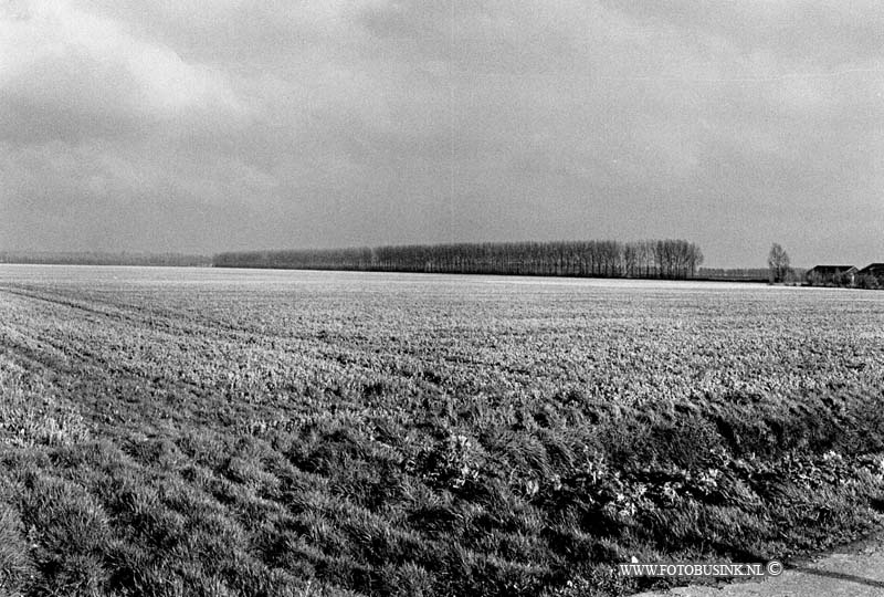 99040604.jpg - WLTO/WESTWEEK :NUMANSDORP:06-04-1999:HET ZUID OSSTELIJK DEEL VAN HEERLANDS AMBACHT WORDT KASSEN GEBIEDTDeze digitale foto blijft eigendom van FOTOPERSBURO BUSINK. Wij hanteren de voorwaarden van het N.V.F. en N.V.J. Gebruik van deze foto impliceert dat u bekend bent  en akkoord gaat met deze voorwaarden bij publicatie.EB/ETIENNE BUSINK