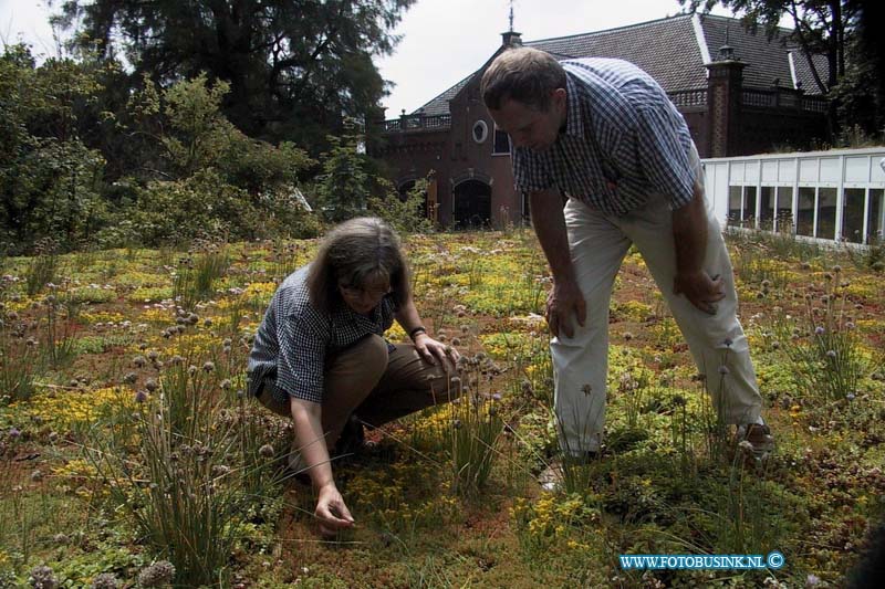 99070822.jpg - DE DORDTENAAR :Dordrecht:09-07-1999: van baarleplantsoen bij woningbouw vereneging woondrecht kruiden tuin op dak van bedrijfspand dordrechDeze digitale foto blijft eigendom van FOTOPERSBURO BUSINK. Wij hanteren de voorwaarden van het N.V.F. en N.V.J. Gebruik van deze foto impliceert dat u bekend bent  en akkoord gaat met deze voorwaarden bij publicatie.EB/ETIENNE BUSINK