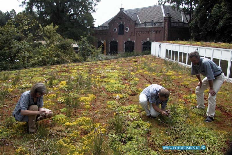 99070824.jpg - DE DORDTENAAR :Dordrecht:09-07-1999: van baarleplantsoen bij woningbouw vereneging woondrecht kruiden tuin op dak van bedrijfspand dordrechDeze digitale foto blijft eigendom van FOTOPERSBURO BUSINK. Wij hanteren de voorwaarden van het N.V.F. en N.V.J. Gebruik van deze foto impliceert dat u bekend bent  en akkoord gaat met deze voorwaarden bij publicatie.EB/ETIENNE BUSINK