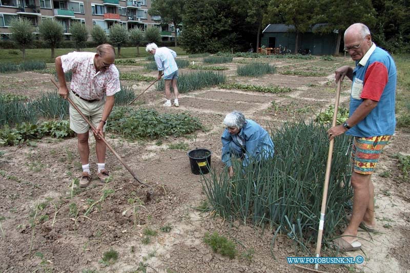 99071402.jpg - DE DORDTENAAR :Dordrecht:14-07-1999:zuidendijk/orionstraat schooltuintjes projekt dreigt te verdwijnen ivm te kort aan geld en leerlingen het huidige betsuur ziet geen andere mogelijk dan stopen aan het einde van het seisoen.Deze digitale foto blijft eigendom van FOTOPERSBURO BUSINK. Wij hanteren de voorwaarden van het N.V.F. en N.V.J. Gebruik van deze foto impliceert dat u bekend bent  en akkoord gaat met deze voorwaarden bij publicatie.EB/ETIENNE BUSINK