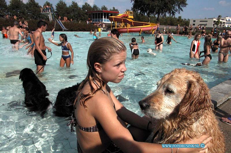 99082909.jpg - DE STEM VAN DORDT:Papendrecht:29-08-1999: zwembad papendrecht honden bezitters mogen op de laaste dag van het seisoen met baas in zwembad zwemmenDeze digitale foto blijft eigendom van FOTOPERSBURO BUSINK. Wij hanteren de voorwaarden van het N.V.F. en N.V.J. Gebruik van deze foto impliceert dat u bekend bent  en akkoord gaat met deze voorwaarden bij publicatie.EB/ETIENNE BUSINK