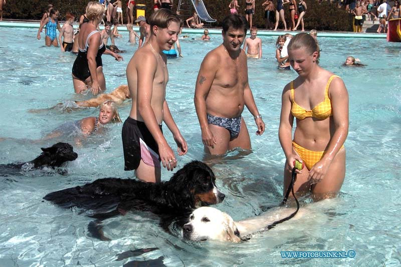 99082912.jpg - LOCOM: zwembad papendrecht honden bezitters mogen op de laaste dag van het seisoen met baas in zwembad zwemmenDeze digitale foto blijft eigendom van FOTOPERSBURO BUSINK. Wij hanteren de voorwaarden van het N.V.F. en N.V.J. Gebruik van deze foto impliceert dat u bekend bent  en akkoord gaat met deze voorwaarden bij publicatie.EB/ETIENNE BUSINK