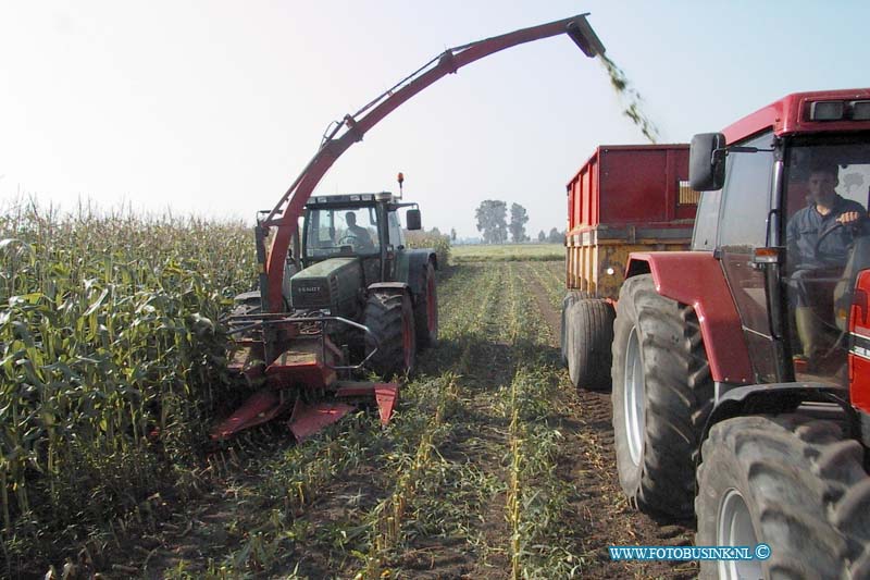 99091128.jpg - WLTO/WESTWEEK :hei en boeicop:11-09-1999:het oogsten van mais achter de boerderij van de fam bassa huibertweg 1 door loonwerker de witDeze digitale foto blijft eigendom van FOTOPERSBURO BUSINK. Wij hanteren de voorwaarden van het N.V.F. en N.V.J. Gebruik van deze foto impliceert dat u bekend bent  en akkoord gaat met deze voorwaarden bij publicatie.EB/ETIENNE BUSINK