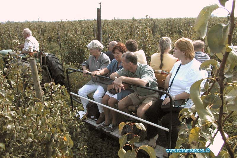 99091815.jpg - WLTO/WESTWEEK :sint antioniepolder:18-09-1999:de fruit gaarden polderdijk 47 roze anna monster  mensen die in de fruitboom gaardt kijken op de opendagen.Deze digitale foto blijft eigendom van FOTOPERSBURO BUSINK. Wij hanteren de voorwaarden van het N.V.F. en N.V.J. Gebruik van deze foto impliceert dat u bekend bent  en akkoord gaat met deze voorwaarden bij publicatie.EB/ETIENNE BUSINK