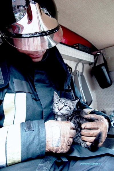 99092073.jpg - DE STEM VAN DORDT:Pap4endrecht:21-09-1999:bij een brand in woonhuis aan de spilbolmolen 56 heeft de brandweer twee katten kunnen redden van de rook vergifteging nadat er achter in de woonkamer brand was onstaan. de bewonner kon tijding het huis verlatenDeze digitale foto blijft eigendom van FOTOPERSBURO BUSINK. Wij hanteren de voorwaarden van het N.V.F. en N.V.J. Gebruik van deze foto impliceert dat u bekend bent  en akkoord gaat met deze voorwaarden bij publicatie.EB/ETIENNE BUSINK