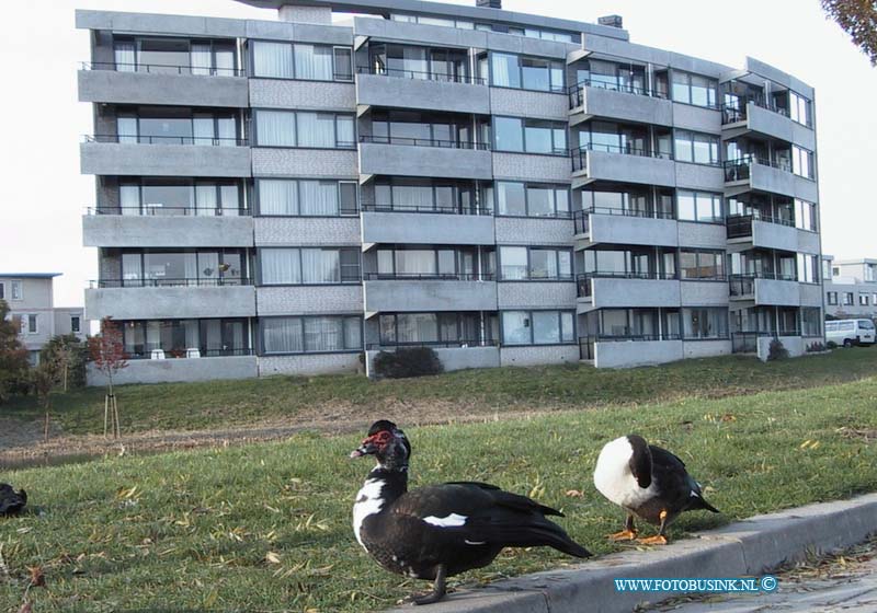 99110307.jpg - DE DORDTENAAR :Dordrecht:03-11-1999:woonprojekt voor ouderen ouderlands ambacht ikv 5 jarige bestaan verschillende bewonners praten met wilco peenstra  eo mevr tousset,mevr bernhard en echtpaar meijers ook foto buitenzijde pandDeze digitale foto blijft eigendom van FOTOPERSBURO BUSINK. Wij hanteren de voorwaarden van het N.V.F. en N.V.J. Gebruik van deze foto impliceert dat u bekend bent  en akkoord gaat met deze voorwaarden bij publicatie.EB/ETIENNE BUSINK