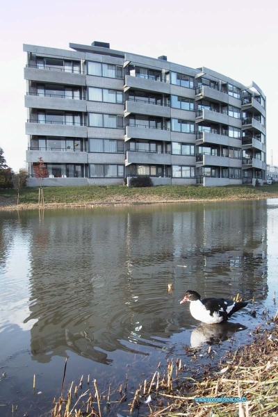 99110308.jpg - DE DORDTENAAR :Dordrecht:03-11-1999:woonprojekt voor ouderen ouderlands ambacht ikv 5 jarige bestaan verschillende bewonners praten met wilco peenstra  eo mevr tousset,mevr bernhard en echtpaar meijers ook foto buitenzijde pandDeze digitale foto blijft eigendom van FOTOPERSBURO BUSINK. Wij hanteren de voorwaarden van het N.V.F. en N.V.J. Gebruik van deze foto impliceert dat u bekend bent  en akkoord gaat met deze voorwaarden bij publicatie.EB/ETIENNE BUSINK