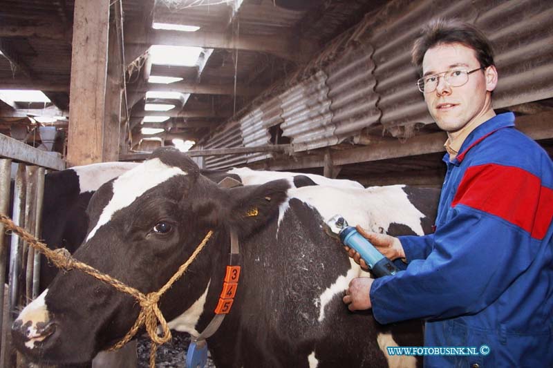 99111001.jpg - WLTO/WESTWEEK :Zuid Beyerland:10-11-1999:molendijk 10 dhr ard scheert die zijn koeien aan het scheren is in ed stal van zinj boerderij.Deze digitale foto blijft eigendom van FOTOPERSBURO BUSINK. Wij hanteren de voorwaarden van het N.V.F. en N.V.J. Gebruik van deze foto impliceert dat u bekend bent  en akkoord gaat met deze voorwaarden bij publicatie.EB/ETIENNE BUSINK