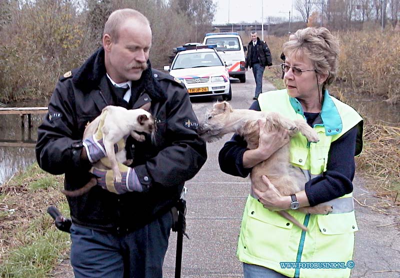 99111406.jpg - DE DORDTENAAR :Schelluinen:14-11-1999:SCHUUR BRANDT UITGORINCHEM - Een schuur bij een woning aan de Parallelweg is zondagmorgen 14 november totaal uitgebrand. Door onbekende oorzaak vatte de schuur met daarin onder andere twee antieke auto's, een motorfiets vlam.  Al snel sloeg het vuur onder de dakpannen van de bijkeuken van de woning. De brandweer had het vuur snel onder controle, maar kon niet voorkomen dat de schuur volledig in de as werd gelegd. Ook de bijkeuken van de woning raakte flink beschadigd, met name door waterschade. Uit de woning kon politie en brandweer nog twee poezen en een hond redden. De brandweer haalde uit de brandende schuur een kooi met twee kaketoes, waarvan er een overleden was en een ander geschroeid was aan de rug. De dierenambulance heeft zich over de levende vogel ontfermd. In de schuur stond nog een kooi met een kaketoe. Ook deze vogel heeft de brand niet overleefd. De technische recherche zal maandag onderzoeken wat de oorzaak van de brand was.Deze digitale foto blijft eigendom van FOTOPERSBURO BUSINK. Wij hanteren de voorwaarden van het N.V.F. en N.V.J. Gebruik van deze foto impliceert dat u bekend bent  en akkoord gaat met deze voorwaarden bij publicatie.EB/ETIENNE BUSINK