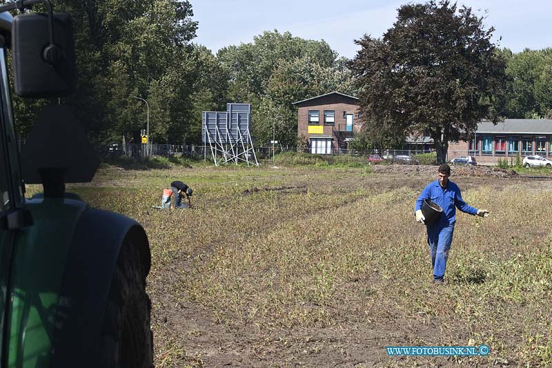 10090609.jpg - FOTOOPDRACHT:Dordrecht:06-09-2010:Het terrein waar hier voor de enigszins woningen en de Nassau flats stond licht nog steeds braak en het onkruid groeide er huizen hoog. Gelukkig laat men er nu gras op zaaien zodat er over 2 weken een groene oase ontstaat als zicht. Hopelijk kan Woonbron-Kristal wonen er begin volgend jaar beginnen met de nieuwbouwDeze digitale foto blijft eigendom van FOTOPERSBURO BUSINK. Wij hanteren de voorwaarden van het N.V.F. en N.V.J. Gebruik van deze foto impliceert dat u bekend bent  en akkoord gaat met deze voorwaarden bij publicatie.EB/ETIENNE BUSINK