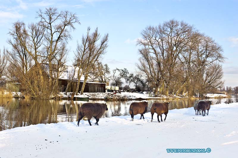 10121802.jpg - FOTOOPDRACHT:Dordrecht:18-12-2010:Boeren moeten gewoon door de schapen staan in de sneeuw dit leverd werk op voor de boeren maar ook zeer mooie landschap plaatjes bij de Ottosluis te DordrechtDeze digitale foto blijft eigendom van FOTOPERSBURO BUSINK. Wij hanteren de voorwaarden van het N.V.F. en N.V.J. Gebruik van deze foto impliceert dat u bekend bent  en akkoord gaat met deze voorwaarden bij publicatie.EB/ETIENNE BUSINK