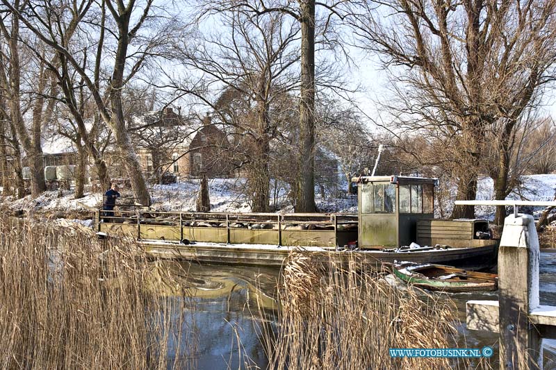 10121804.jpg - FOTOOPDRACHT:Dordrecht:18-12-2010:Per boot worden de schapen door de boer heen en weer gevaren. Boeren moeten gewoon door de schapen staan in de sneeuw dit leverd werk op voor de boeren maar ook zeer mooie landschap plaatjes bij de Ottosluis te DordrechtDeze digitale foto blijft eigendom van FOTOPERSBURO BUSINK. Wij hanteren de voorwaarden van het N.V.F. en N.V.J. Gebruik van deze foto impliceert dat u bekend bent  en akkoord gaat met deze voorwaarden bij publicatie.EB/ETIENNE BUSINK