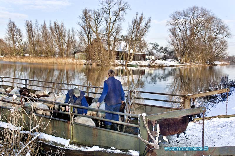 10121805.jpg - FOTOOPDRACHT:Dordrecht:18-12-2010:Per boot worden de schapen door de boer heen en weer gevaren. Boeren moeten gewoon door de schapen staan in de sneeuw dit leverd werk op voor de boeren maar ook zeer mooie landschap plaatjes bij de Ottosluis te DordrechtDeze digitale foto blijft eigendom van FOTOPERSBURO BUSINK. Wij hanteren de voorwaarden van het N.V.F. en N.V.J. Gebruik van deze foto impliceert dat u bekend bent  en akkoord gaat met deze voorwaarden bij publicatie.EB/ETIENNE BUSINK