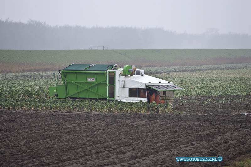 11010603.jpg - Strijen Sas:06-01-2011:Deze boer aan de Buitendijk in Strijen Sas is toch zijn spuitjes aan het oosten na de giftige brand in Moerdijk.De burgermeester van Dordrecht en de regio ZHZ A. Brok, had in de persconferencie van vanmiddag geen groenten van het land nu te oosten of te eten en of vee buiten te laten grazen de giftige stoffen zouden door te eten gevaar voor de volksgezondheid opleveren.