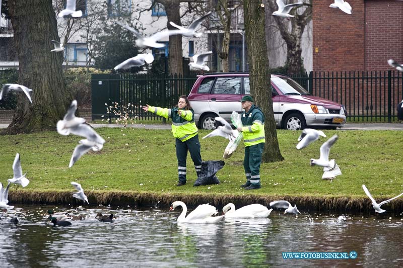 11012714.jpg - FOTOOPDRACHT:Dordrecht:27-01-2011:Nassauweg de dieren ambulance voert de zwanen en eenden en vele vogels bij met brood deze koude dagen zodat ze niet verhongeren.Deze digitale foto blijft eigendom van FOTOPERSBURO BUSINK. Wij hanteren de voorwaarden van het N.V.F. en N.V.J. Gebruik van deze foto impliceert dat u bekend bent  en akkoord gaat met deze voorwaarden bij publicatie.EB/ETIENNE BUSINK