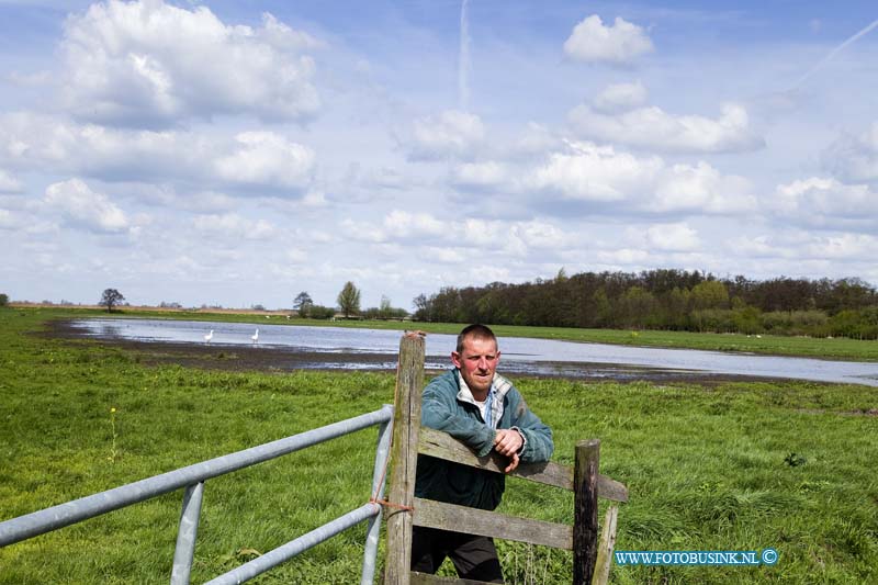 11041302.jpg - FOTOOPDRACHT:Oud Alblas:13-04-2011:Nieuwe Oogst foto maken bij boer Simon Kortlever. Heiweg 5 te Oud Alblas. Hij heeft een stuk land dat hij onder water zet voor de weidvogels. Graag een foto van het water met wat weiland en wat koeien.Deze digitale foto blijft eigendom van FOTOPERSBURO BUSINK. Wij hanteren de voorwaarden van het N.V.F. en N.V.J. Gebruik van deze foto impliceert dat u bekend bent  en akkoord gaat met deze voorwaarden bij publicatie.EB/ETIENNE BUSINK