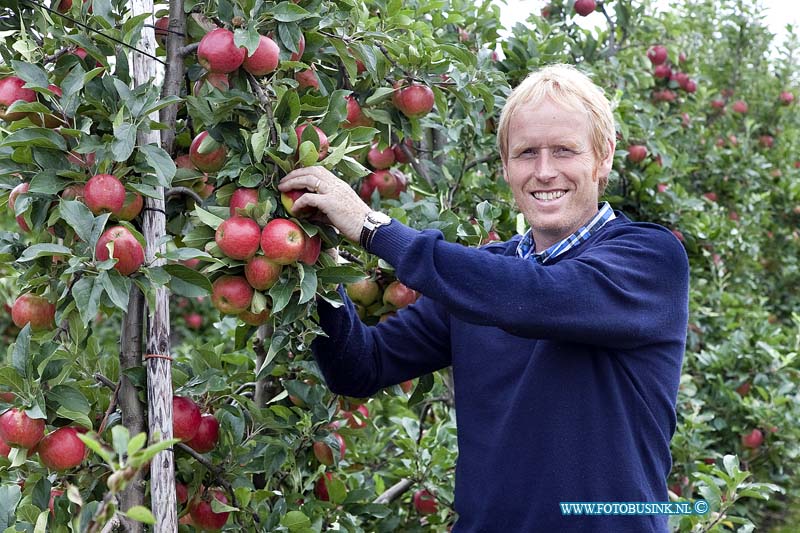 11090902.jpg - FOTOOPDRACHT:Werkendam:09-09-2011:LTO Noord nieuwe oogst foto van de oogst van Elstar-appels (gaat om mutant Elshard) met daarop fruitteler Peter Oostveen herkenbaar in beeld en een foto met een detail van enkele appels aan de boom of in een kist. Deze digitale foto blijft eigendom van FOTOPERSBURO BUSINK. Wij hanteren de voorwaarden van het N.V.F. en N.V.J. Gebruik van deze foto impliceert dat u bekend bent  en akkoord gaat met deze voorwaarden bij publicatie.EB/ETIENNE BUSINK