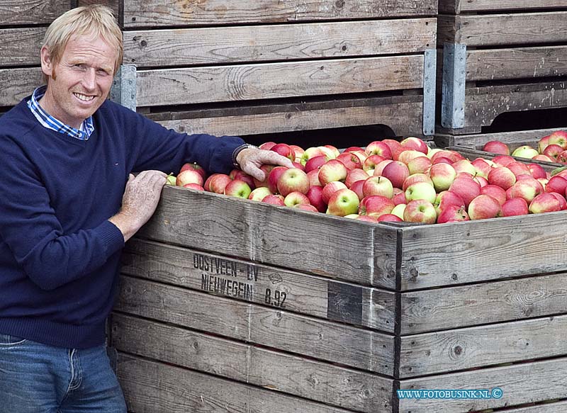 11090903.jpg - FOTOOPDRACHT:Werkendam:09-09-2011:LTO Noord nieuwe oogst foto van de oogst van Elstar-appels (gaat om mutant Elshard) met daarop fruitteler Peter Oostveen herkenbaar in beeld en een foto met een detail van enkele appels aan de boom of in een kist. Deze digitale foto blijft eigendom van FOTOPERSBURO BUSINK. Wij hanteren de voorwaarden van het N.V.F. en N.V.J. Gebruik van deze foto impliceert dat u bekend bent  en akkoord gaat met deze voorwaarden bij publicatie.EB/ETIENNE BUSINK