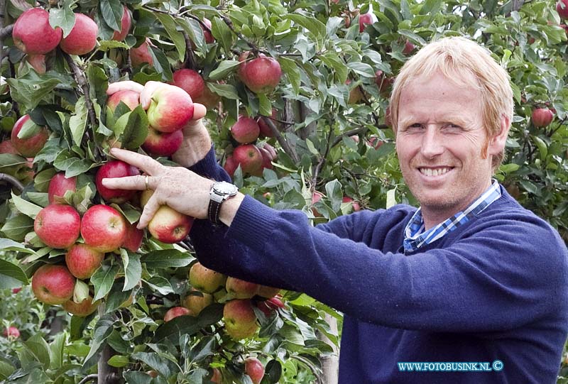 11090904.jpg - FOTOOPDRACHT:Werkendam:09-09-2011:LTO Noord nieuwe oogst foto van de oogst van Elstar-appels (gaat om mutant Elshard) met daarop fruitteler Peter Oostveen herkenbaar in beeld en een foto met een detail van enkele appels aan de boom of in een kist. Deze digitale foto blijft eigendom van FOTOPERSBURO BUSINK. Wij hanteren de voorwaarden van het N.V.F. en N.V.J. Gebruik van deze foto impliceert dat u bekend bent  en akkoord gaat met deze voorwaarden bij publicatie.EB/ETIENNE BUSINK