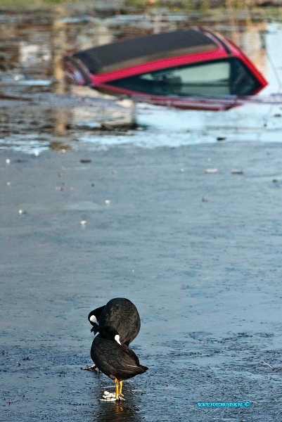 12011705.jpg - FOTOOPDRACHT:Dordrecht:17-01-2011:Foto: voor deze automobilist is schaatsen nog wat te vroeg, de vogels kunnen al wel over het ijs lopen.Op de Groenzoom nabij wc Stadspolders te Dordrecht is aan het einde van de ochtend een auto met bestuurder in het water terecht gekomen. Over de toedracht van het ongeval is nog niets bekend. De bestuurder bleef ongedeerd en wist zelf op de kant te komen maar niet zonder zelf nat te worden. Duikers van de brandweer en een takelbedijf haalde de auto uit het water, deze is totaallos.Deze digitale foto blijft eigendom van FOTOPERSBURO BUSINK. Wij hanteren de voorwaarden van het N.V.F. en N.V.J. Gebruik van deze foto impliceert dat u bekend bent  en akkoord gaat met deze voorwaarden bij publicatie.EB/ETIENNE BUSINK