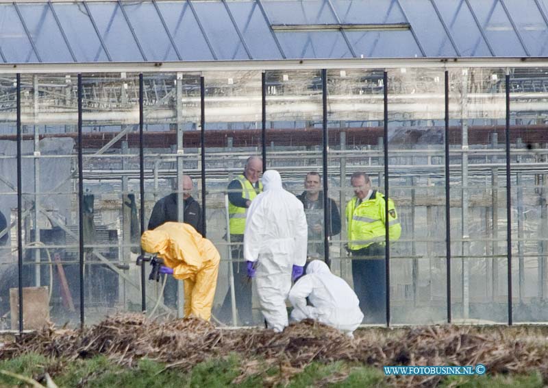 12123003.jpg - FOTOOPDRACHT:Henderik ido Ambacht:30-12-2012:Vanmorgen vroeg is er een dode man aangetroffen in het weiland bij het kassen complex aan De Blaak te Hendrik ido Ambacht. De politie heeft een groot onderzoeksteam aan het werk gezet om de toedracht van de dode man te onder zoeken. de weide omgeving is afgezet zodat het vele toegestroomde publiek op afstand blijft. Over de oorzaak van de dood van de man kan de voorlichter van politie nog niets zeggen.Deze digitale foto blijft eigendom van FOTOPERSBURO BUSINK. Wij hanteren de voorwaarden van het N.V.F. en N.V.J. Gebruik van deze foto impliceert dat u bekend bent  en akkoord gaat met deze voorwaarden bij publicatie.EB/ETIENNE BUSINK