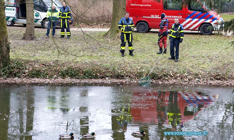 13011403.jpg - FOTOOPDRACHT:Dordrecht:14-01-2013:In het dubbelsteijnpark in dubbeldam liggend aan de zijde dennelaan raakt door de vries kou enkelen vogels in de problemen de dieren ambulance en duikers van de brandweer hebben geprobeert te helpen, dit lukte voor een groot deel. Alleen de aan zijn poot gewonde eend kreeg men niet gevangen.Deze digitale foto blijft eigendom van FOTOPERSBURO BUSINK. Wij hanteren de voorwaarden van het N.V.F. en N.V.J. Gebruik van deze foto impliceert dat u bekend bent  en akkoord gaat met deze voorwaarden bij publicatie.EB/ETIENNE BUSINK