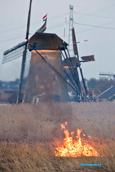 13030501.jpg - FOTOOPDRACHT:Kinderdijk:05-03-2013:Bij een mogelijk door jeugd aangestoken Riet brand bij de molens van kinderdijk te Alblasserdam is door de grote brand die er voort kwam veel riet verloren gegaan. De molens liepen door snel optreden van de brandweer geen gevaar. Maar de brandlieden zijn wel uren bezig geweest met veel brandweer matrieel om de brand onder controle te krijgen. Door het moeilijk bereikbaar zijn van de vele brandhaarden.Deze digitale foto blijft eigendom van FOTOPERSBURO BUSINK. Wij hanteren de voorwaarden van het N.V.F. en N.V.J. Gebruik van deze foto impliceert dat u bekend bent  en akkoord gaat met deze voorwaarden bij publicatie.EB/ETIENNE BUSINK