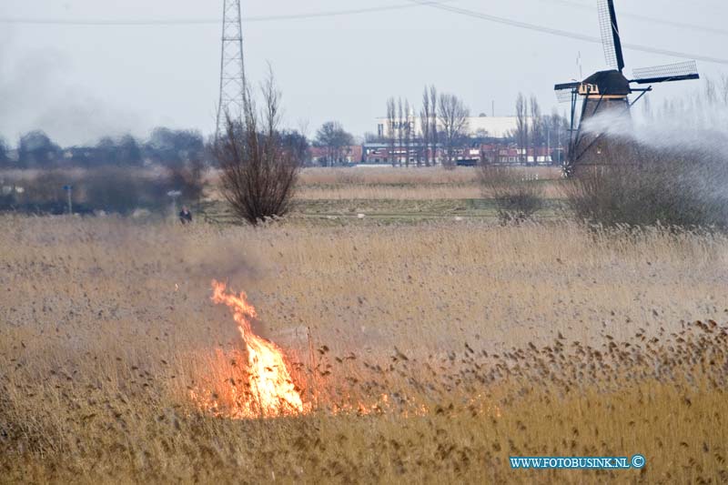 13030505.jpg - FOTOOPDRACHT:Kinderdijk:05-03-2013:Bij een mogelijk door jeugd aangestoken Riet brand bij de molens van kinderdijk te Alblasserdam is door de grote brand die er voort kwam veel riet verloren gegaan. De molens liepen door snel optreden van de brandweer geen gevaar. Maar de brandlieden zijn wel uren bezig geweest met veel brandweer matrieel om de brand onder controle te krijgen. Door het moeilijk bereikbaar zijn van de vele brandhaarden.Deze digitale foto blijft eigendom van FOTOPERSBURO BUSINK. Wij hanteren de voorwaarden van het N.V.F. en N.V.J. Gebruik van deze foto impliceert dat u bekend bent  en akkoord gaat met deze voorwaarden bij publicatie.EB/ETIENNE BUSINK