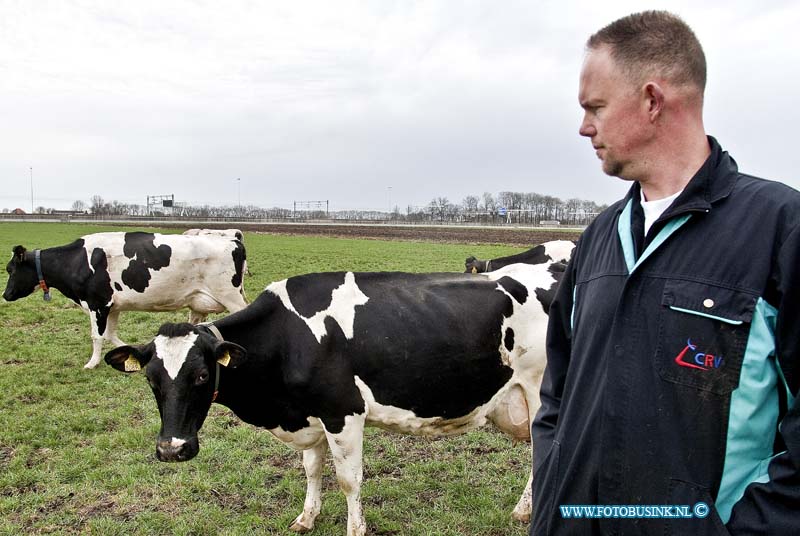 13041501.jpg - FOTOOPDRACHT:Vuren:15-04-2013:LTO Een portretfoto en algemener beeld waarop te zien is dat hij zijn koeien naar buiten doet. Jan van Dijk Vuren.Deze digitale foto blijft eigendom van FOTOPERSBURO BUSINK. Wij hanteren de voorwaarden van het N.V.F. en N.V.J. Gebruik van deze foto impliceert dat u bekend bent  en akkoord gaat met deze voorwaarden bij publicatie.EB/ETIENNE BUSINK