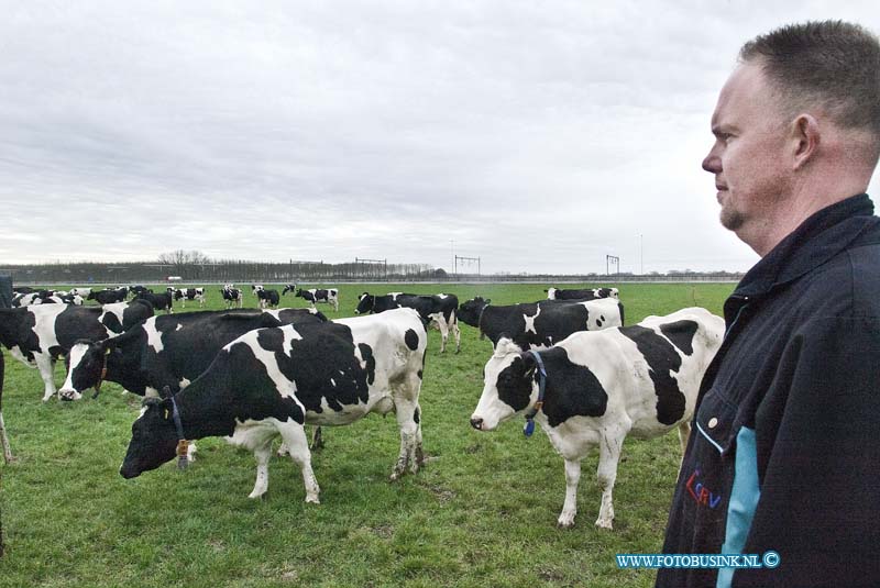 13041503.jpg - FOTOOPDRACHT:Vuren:15-04-2013:LTO Een portretfoto en algemener beeld waarop te zien is dat hij zijn koeien naar buiten doet. Jan van Dijk Vuren.Deze digitale foto blijft eigendom van FOTOPERSBURO BUSINK. Wij hanteren de voorwaarden van het N.V.F. en N.V.J. Gebruik van deze foto impliceert dat u bekend bent  en akkoord gaat met deze voorwaarden bij publicatie.EB/ETIENNE BUSINK