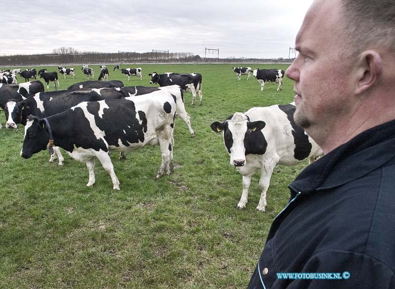 13041506.jpg - FOTOOPDRACHT:Vuren:15-04-2013:LTO Een portretfoto en algemener beeld waarop te zien is dat hij zijn koeien naar buiten doet. Jan van Dijk Vuren.Deze digitale foto blijft eigendom van FOTOPERSBURO BUSINK. Wij hanteren de voorwaarden van het N.V.F. en N.V.J. Gebruik van deze foto impliceert dat u bekend bent  en akkoord gaat met deze voorwaarden bij publicatie.EB/ETIENNE BUSINK