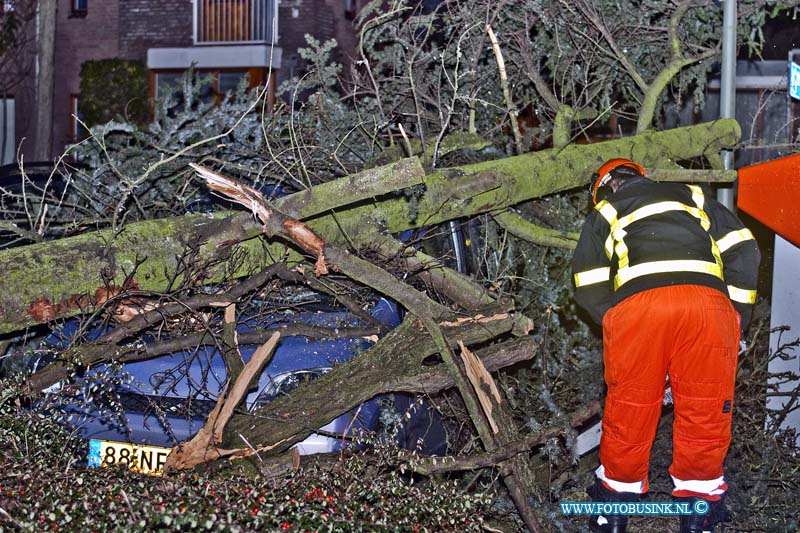 13122402.jpg - FOTOOPDRACHT:Dordrecht:24-12-2013:Boom beland op auto wittenstein Brandweer zaagt boom klein, auto totaal loos.Deze digitale foto blijft eigendom van FOTOPERSBURO BUSINK. Wij hanteren de voorwaarden van het N.V.F. en N.V.J. Gebruik van deze foto impliceert dat u bekend bent  en akkoord gaat met deze voorwaarden bij publicatie.EB/ETIENNE BUSINK