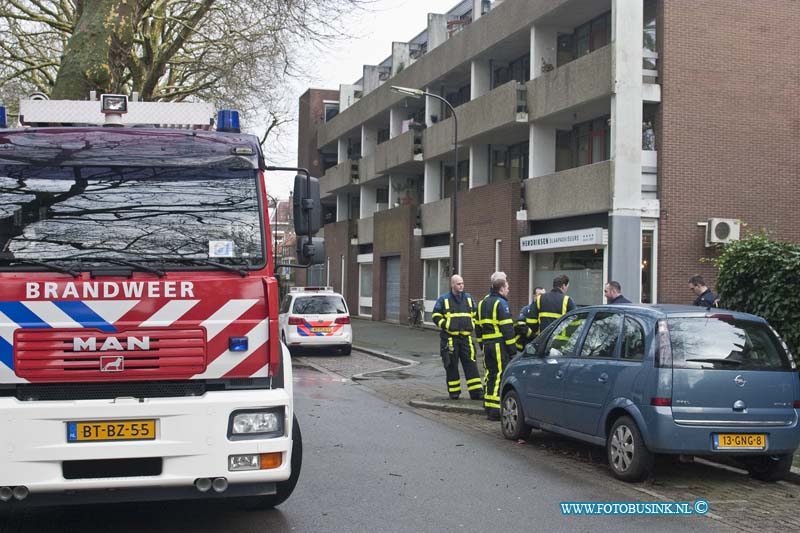 14012101.jpg - FOTOOPDRACHT:Dordrecht:21-01-2013:Vlinderhond doodgebeten door een 1-jarige Amerikaanse Stefford op het Oranjepark te Dordrecht. De politie heeft de Amerikaanse Stefford hond inbeslag genomen.Deze digitale foto blijft eigendom van FOTOPERSBURO BUSINK. Wij hanteren de voorwaarden van het N.V.F. en N.V.J. Gebruik van deze foto impliceert dat u bekend bent  en akkoord gaat met deze voorwaarden bij publicatie.EB/ETIENNE BUSINK