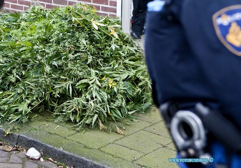 14022501.jpg - FOTOOPDRACHT:Dordrecht:25-02-2014:Er zijn vandaag in de wijk Krispijn diverse wietkwekerijen opgerold door de politie, onder andere in de Tulpstraat en in de Meindert Hobbemastraat. Een speciaal bedrijf vernietigde de hennepplanten. Deze digitale foto blijft eigendom van FOTOPERSBURO BUSINK. Wij hanteren de voorwaarden van het N.V.F. en N.V.J. Gebruik van deze foto impliceert dat u bekend bent  en akkoord gaat met deze voorwaarden bij publicatie.EB/ETIENNE BUSINK