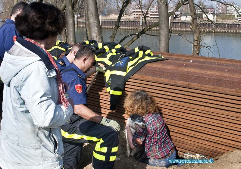 14031203.jpg - FOTOOPDRACHT:Dordrecht:12-03-2014:Nabij Villa August op een braak liggend stuk terrein was een hond in de problemen geraakt. De brandweer en de eigenaresse moest de hond redden, de hond had zich zelf in gegraven, en kon niet op eigen kracht los komen.Deze digitale foto blijft eigendom van FOTOPERSBURO BUSINK. Wij hanteren de voorwaarden van het N.V.F. en N.V.J. Gebruik van deze foto impliceert dat u bekend bent  en akkoord gaat met deze voorwaarden bij publicatie.EB/ETIENNE BUSINK