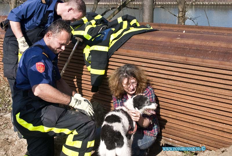 14031204.jpg - FOTOOPDRACHT:Dordrecht:12-03-2014:Nabij Villa August op een braak liggend stuk terrein was een hond in de problemen geraakt. De brandweer en de eigenaresse moest de hond redden, de hond had zich zelf in gegraven, en kon niet op eigen kracht los komen.Deze digitale foto blijft eigendom van FOTOPERSBURO BUSINK. Wij hanteren de voorwaarden van het N.V.F. en N.V.J. Gebruik van deze foto impliceert dat u bekend bent  en akkoord gaat met deze voorwaarden bij publicatie.EB/ETIENNE BUSINK