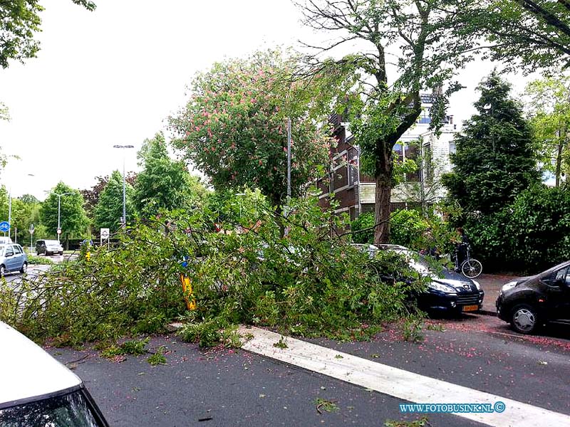 14050901.jpg - FOTOOPDRACHT:Dordrecht:09-05-2014:Door de over waaiende storm van deze middag is een boom op de Dubbeldamseweg ter hoogte van de Anjelierstraat omgewaaid. Enkelen auto's raakte beschadigd. De weg was compleet gestremd, de boom word opgeruimd door de bomenploeg van de gemeete.Deze digitale foto blijft eigendom van FOTOPERSBURO BUSINK. Wij hanteren de voorwaarden van het N.V.F. en N.V.J. Gebruik van deze foto impliceert dat u bekend bent  en akkoord gaat met deze voorwaarden bij publicatie.EB/ETIENNE BUSINK