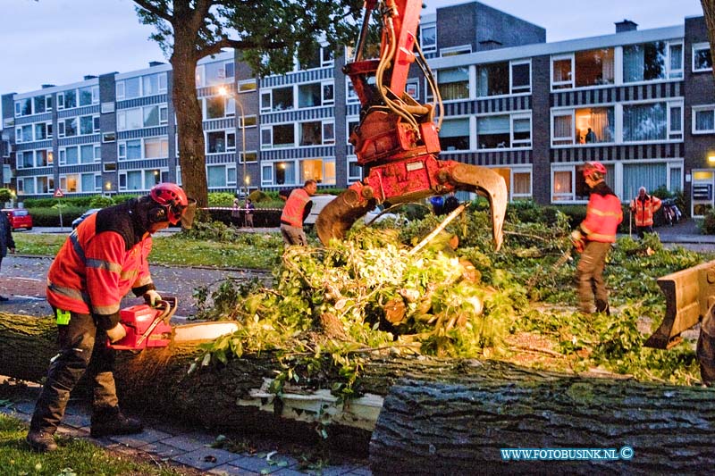 14051101.jpg - FOTOOPDRACHT:Dordrecht: 11-05-2014:De storm heeft dit weekend veel bomen het leven gekost, zo ook nog zondag avond aan de Mauritsweg te Dordrecht, waar de weg enkelen uren werd afgesloten en auto werden weg gehaald omdat er een boom van 25 meter was ingescheurd en dreigde om te vallen. De brandweer en de bomenploeg haalde de boom neer en zaagde hem in stukken. Deze digitale foto blijft eigendom van FOTOPERSBURO BUSINK. Wij hanteren de voorwaarden van het N.V.F. en N.V.J. Gebruik van deze foto impliceert dat u bekend bent  en akkoord gaat met deze voorwaarden bij publicatie.EB/ETIENNE BUSINK