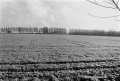 99040603